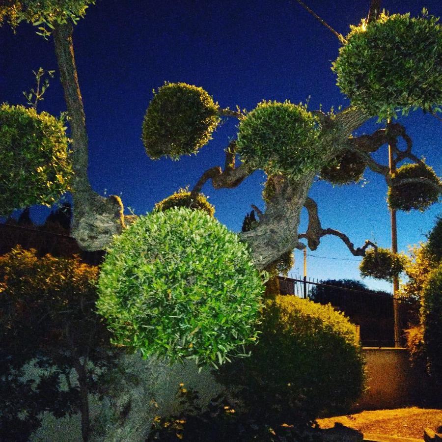 Bnb Villa Lucia Bari Exteriér fotografie